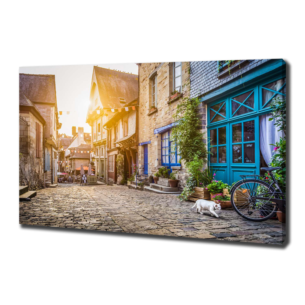 Canvas wall art Charming street