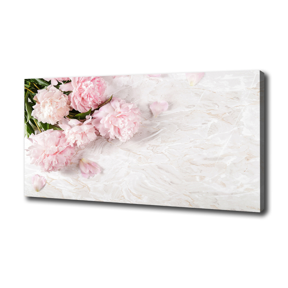 Canvas wall art Peonies