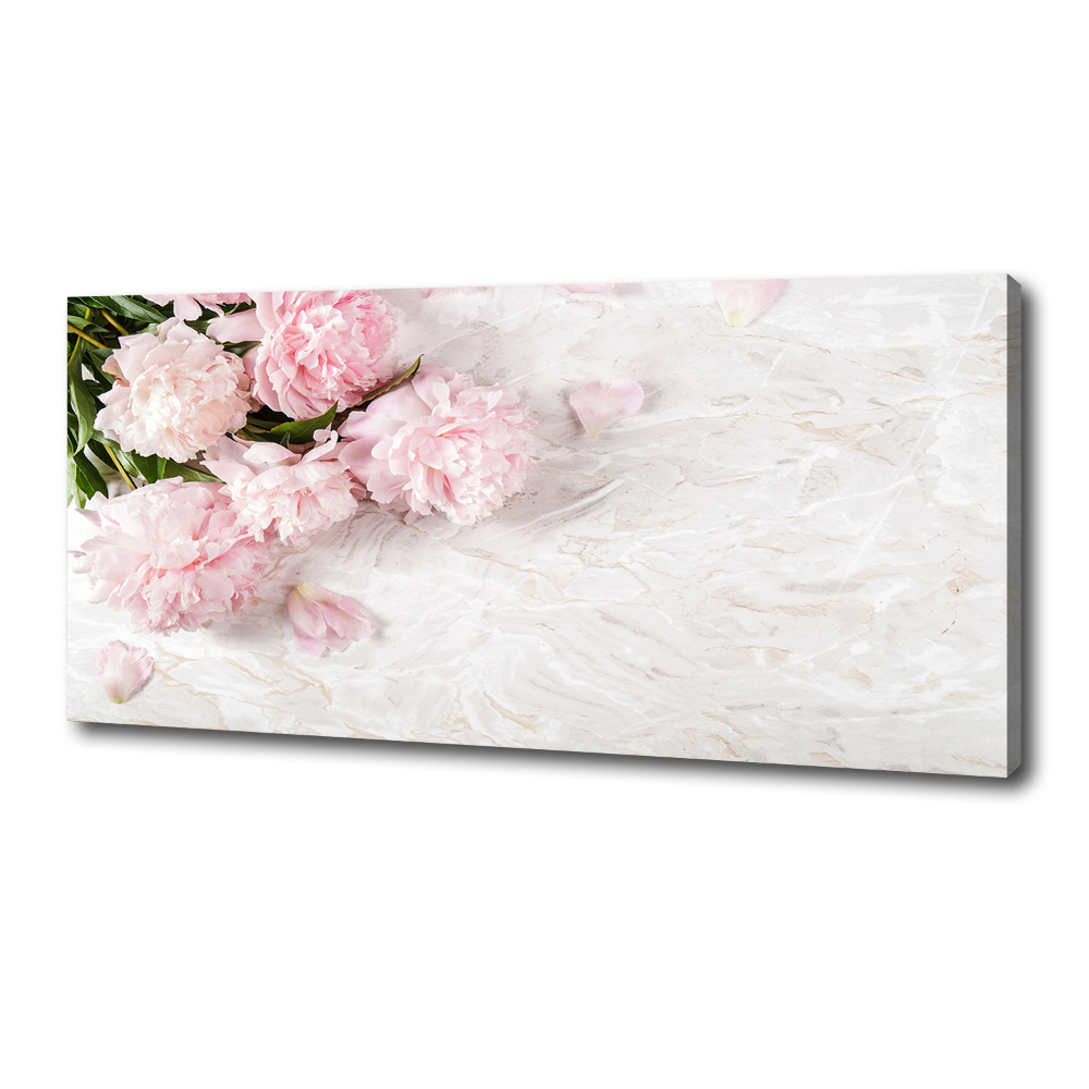 Canvas wall art Peonies