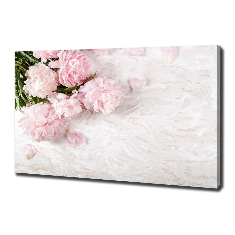 Canvas wall art Peonies