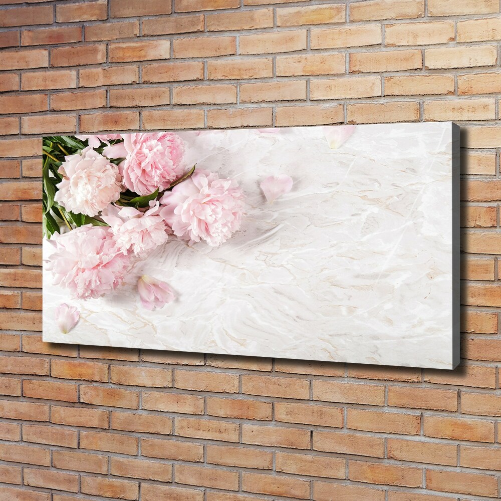 Canvas wall art Peonies