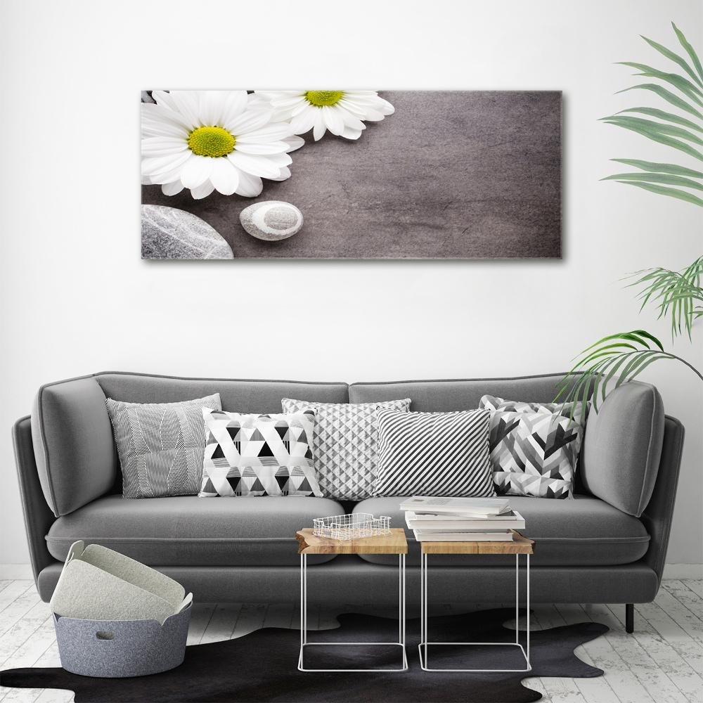 Canvas wall art Gerber