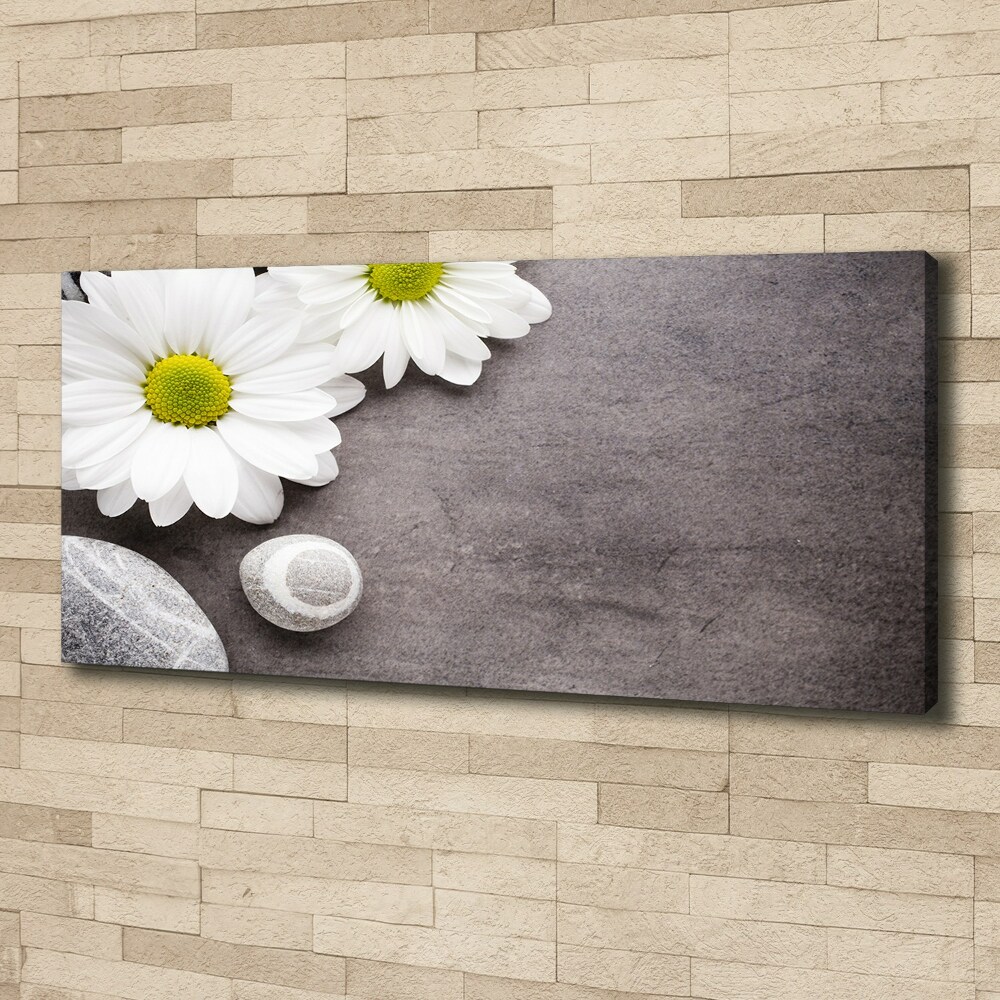 Canvas wall art Gerber