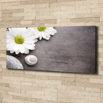 Canvas wall art Gerber