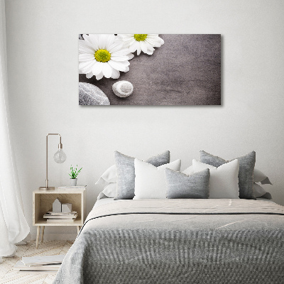 Canvas wall art Gerber