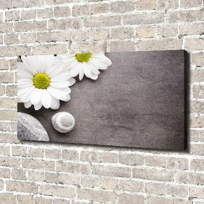 Canvas wall art Gerber