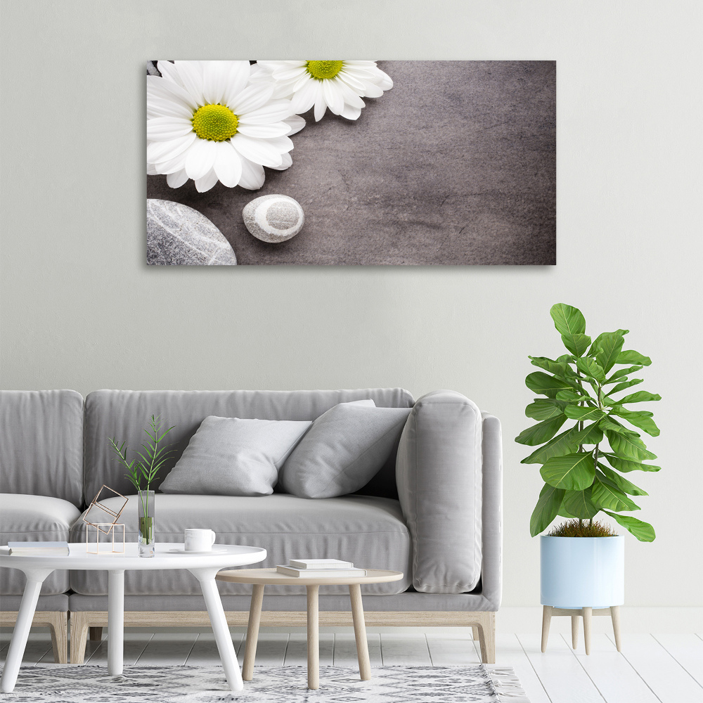 Canvas wall art Gerber