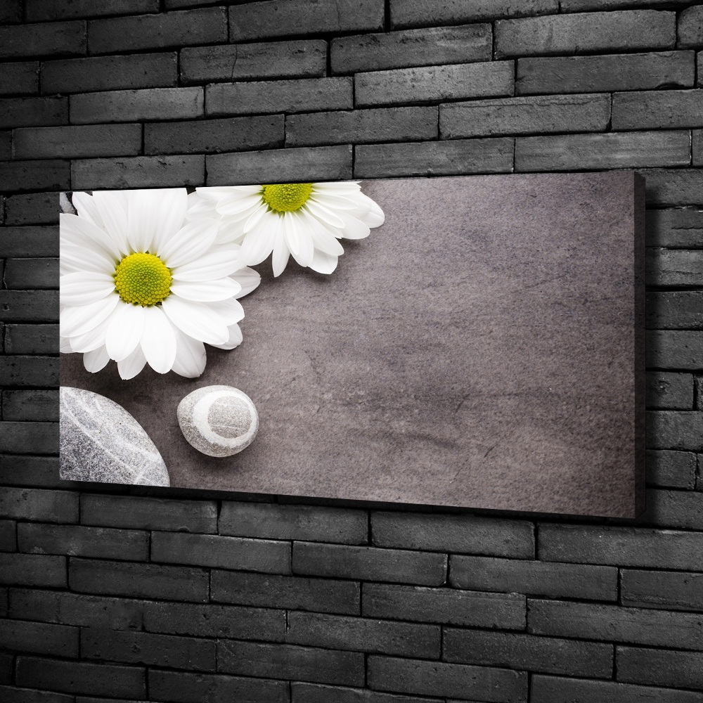 Canvas wall art Gerber