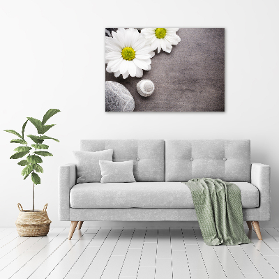 Canvas wall art Gerber