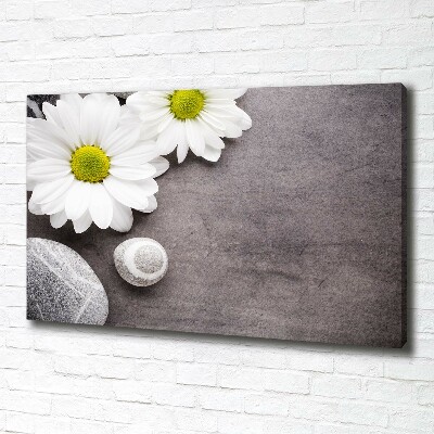 Canvas wall art Gerber