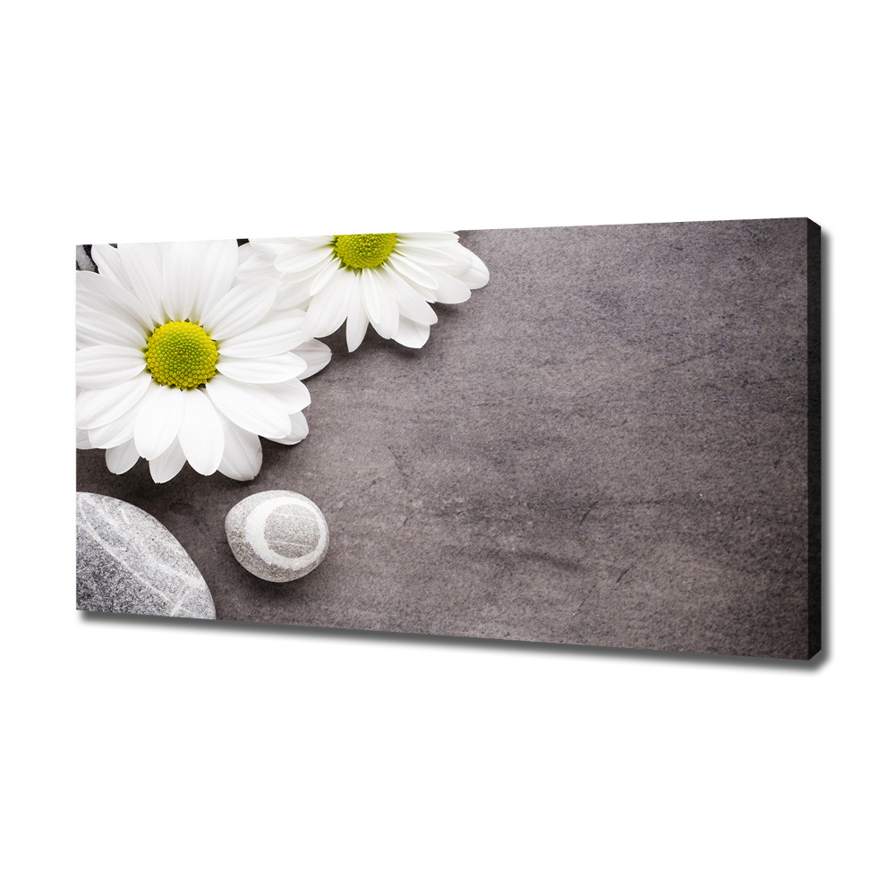 Canvas wall art Gerber