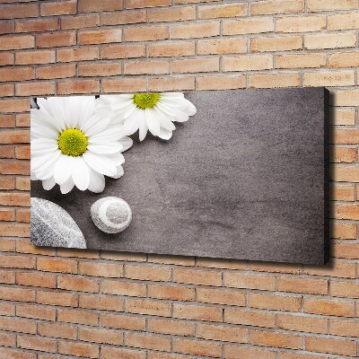 Canvas wall art Gerber