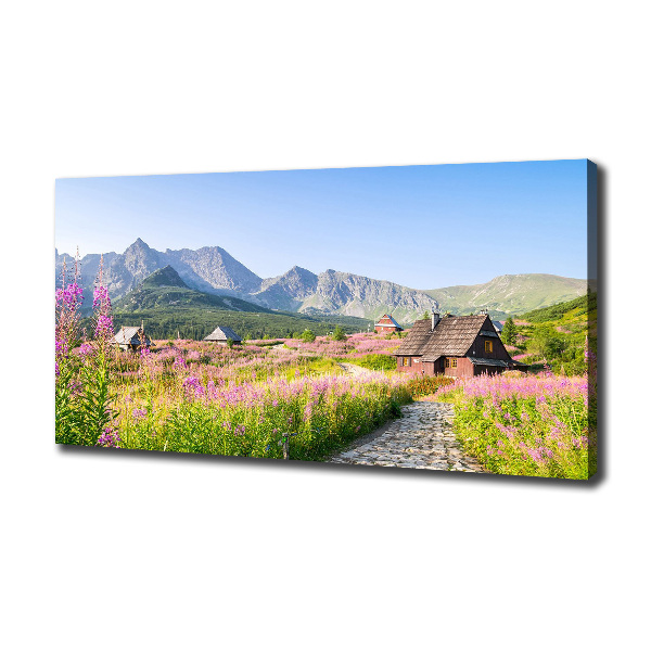 Canvas wall art Chatts in the mountains