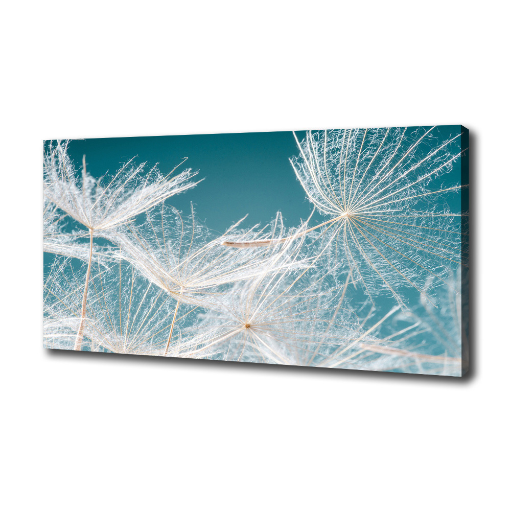 Canvas wall art Dandelion seeds