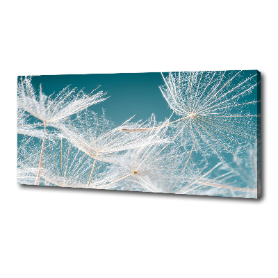 Canvas wall art Dandelion seeds