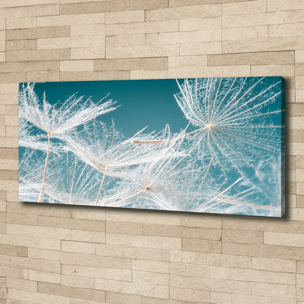 Canvas wall art Dandelion seeds