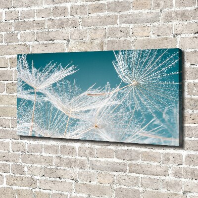 Canvas wall art Dandelion seeds