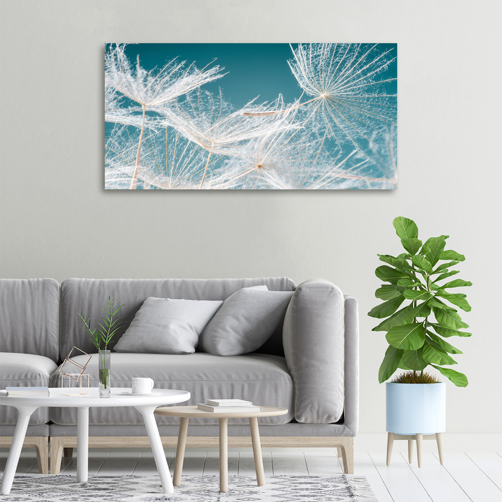 Canvas wall art Dandelion seeds