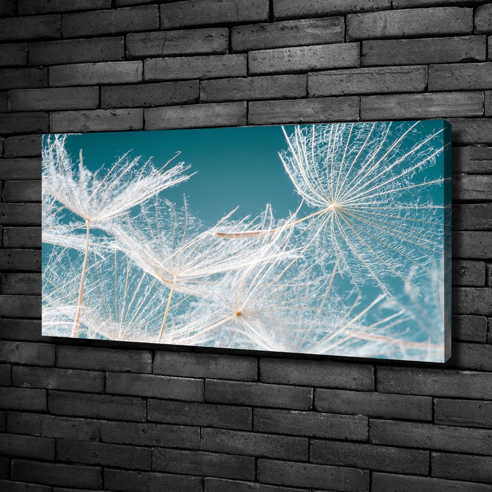 Canvas wall art Dandelion seeds