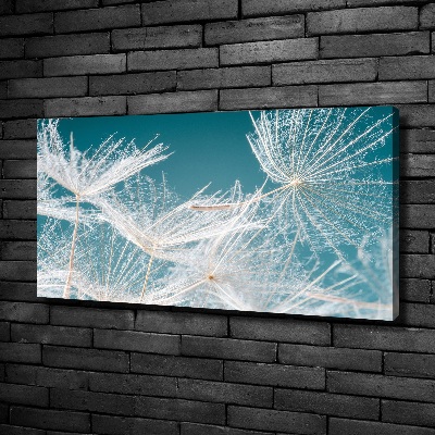 Canvas wall art Dandelion seeds