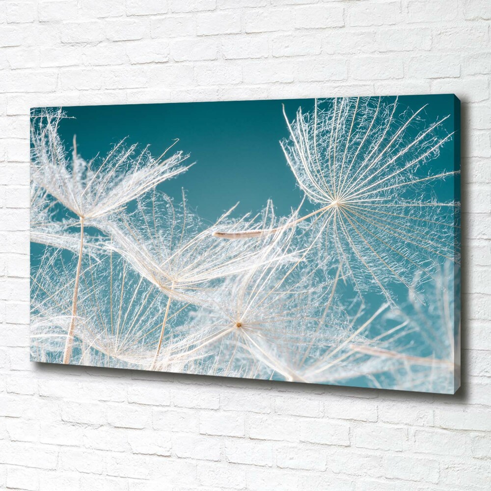 Canvas wall art Dandelion seeds