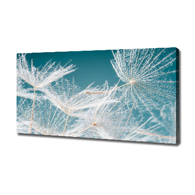 Canvas wall art Dandelion seeds