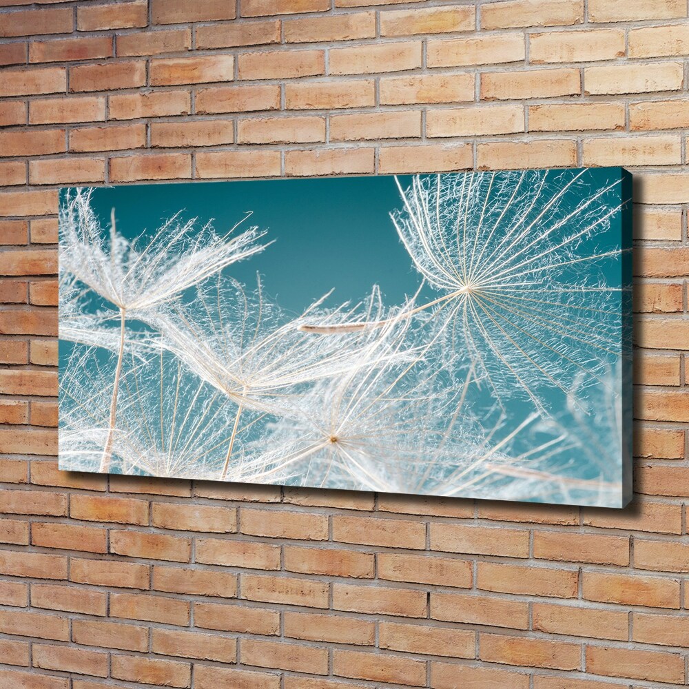 Canvas wall art Dandelion seeds