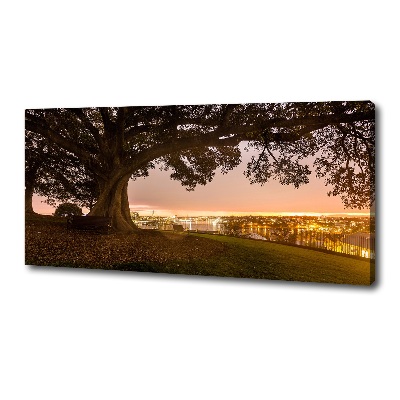 Canvas wall art Old tree