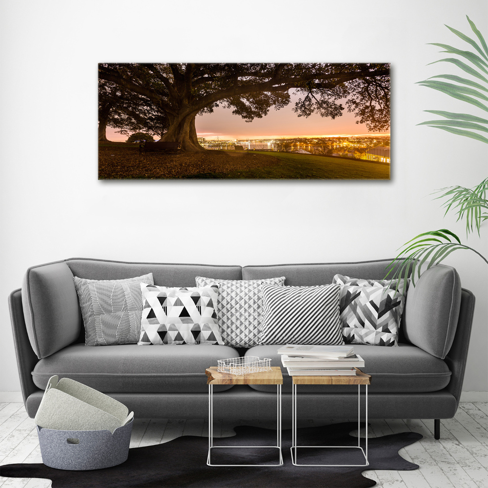 Canvas wall art Old tree