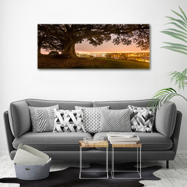 Canvas wall art Old tree