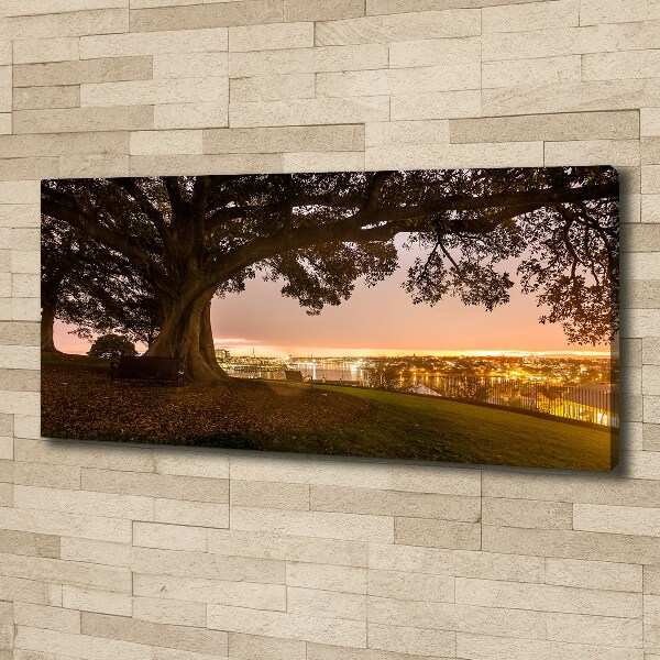 Canvas wall art Old tree