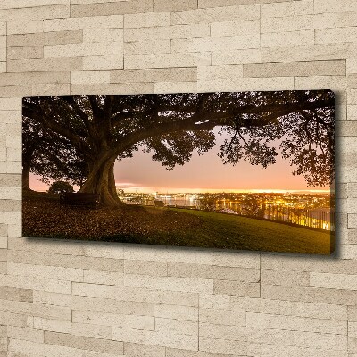 Canvas wall art Old tree