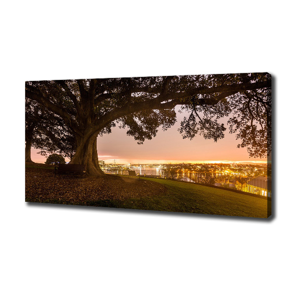 Canvas wall art Old tree