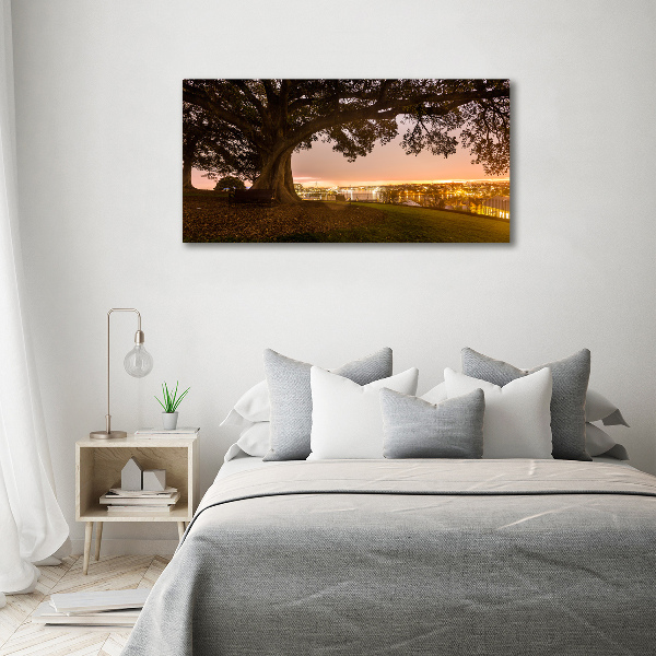 Canvas wall art Old tree