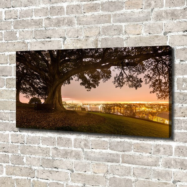 Canvas wall art Old tree