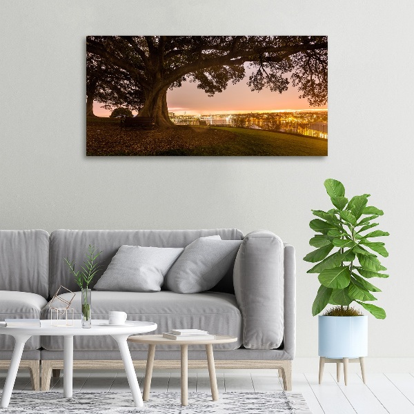 Canvas wall art Old tree