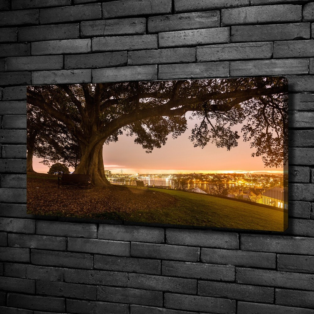 Canvas wall art Old tree