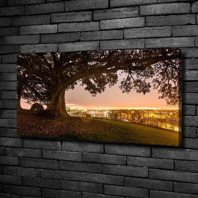 Canvas wall art Old tree