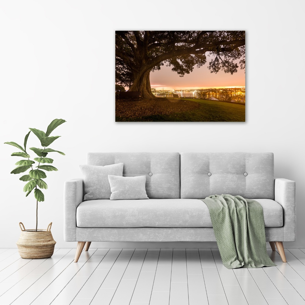 Canvas wall art Old tree