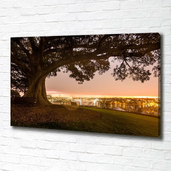 Canvas wall art Old tree