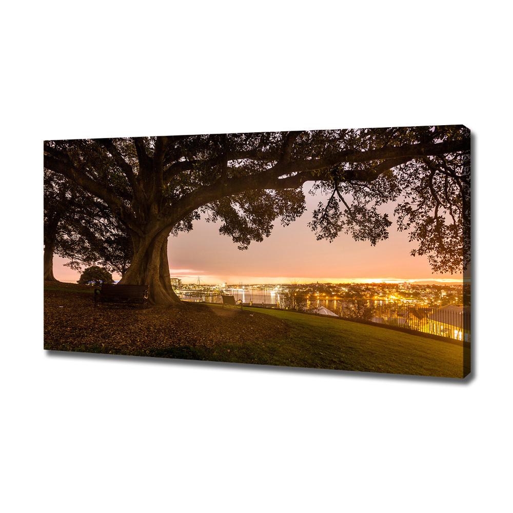 Canvas wall art Old tree