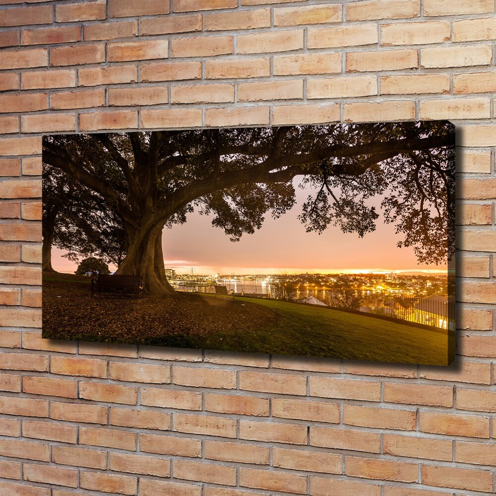 Canvas wall art Old tree