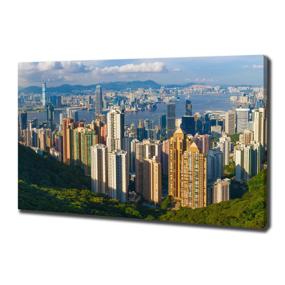 Canvas wall art Hong Kong Panorama