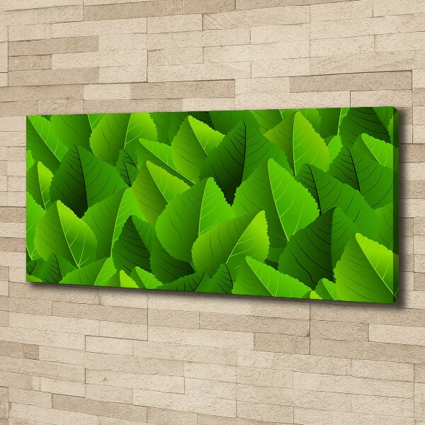 Canvas wall art Green leaves