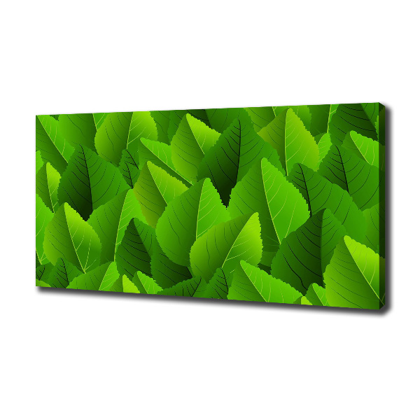 Canvas wall art Green leaves