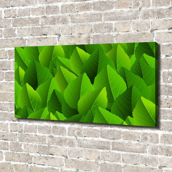 Canvas wall art Green leaves