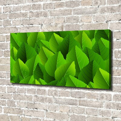 Canvas wall art Green leaves