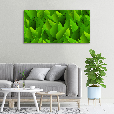 Canvas wall art Green leaves