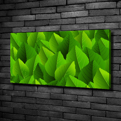 Canvas wall art Green leaves