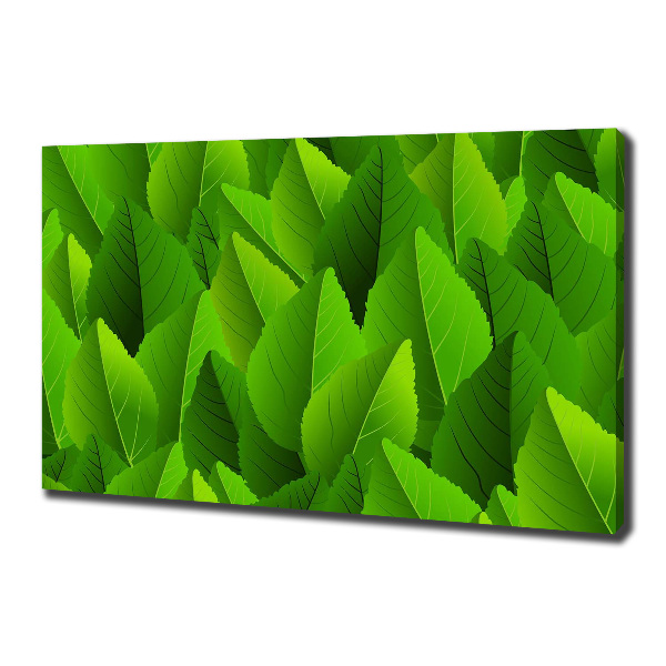 Canvas wall art Green leaves